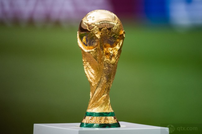 休息区与牛 休息区与牛